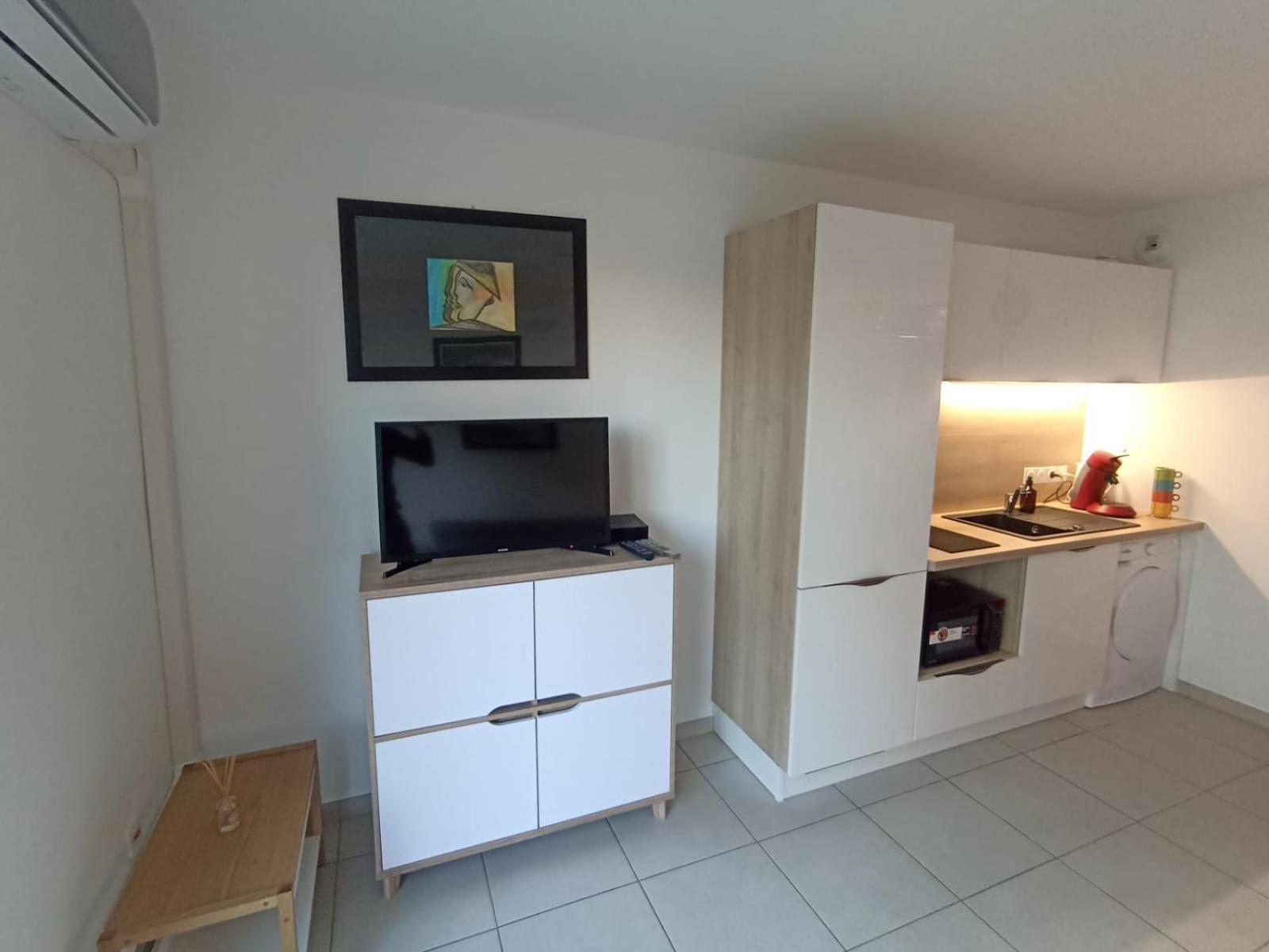 Studio Avec Parking Prive, Piscine Plage 300M Antibes Dış mekan fotoğraf
